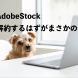 AdobeStockイメージ