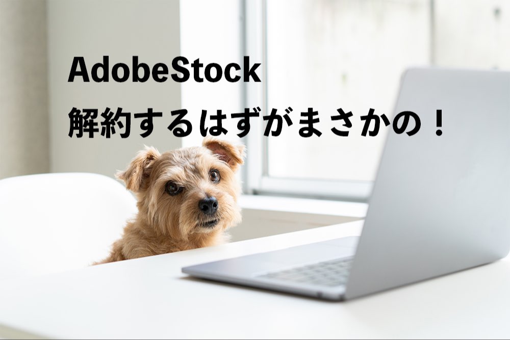 AdobeStockイメージ